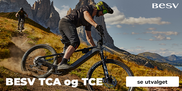 BESV TCA og TCE elektriske fulldempere